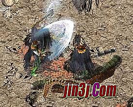 176���Ŵ�����������