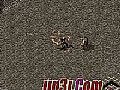 1.76¿,ߺʿҡ